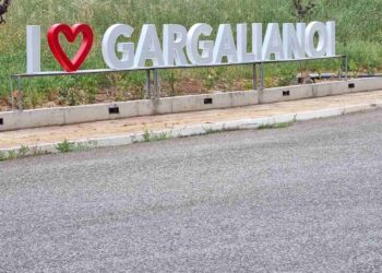 Πσιτ! Αγάπη παντού…