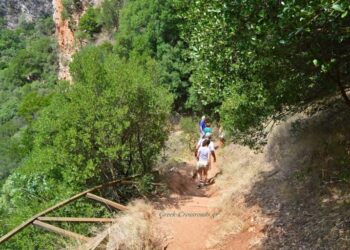 Θρίλερ στη Νέδα: 10χρονο παιδί έπεσε σε χαράδρα 25 μέτρων