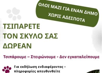 26η Αυγούστου: Παγκόσμια Ημέρα Σκύλων! Δωρεάν τσιπ σε 30 δεσποζόμενα σκυλιά από τον Δήμο Δυτικής Αχαΐας