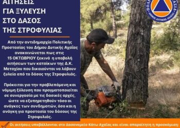 Ξύλευση στο δάσος της Στροφυλιάς: Έναρξη αιτήσεων αποκλειστικά από τους κατοίκους της Δ.Κ. Μετοχίου στις 15 Οκτωβρίου