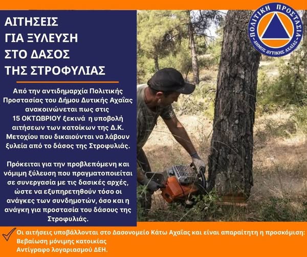 Ξύλευση στο δάσος της Στροφυλιάς: Έναρξη αιτήσεων αποκλειστικά από τους κατοίκους της Δ.Κ. Μετοχίου στις 15 Οκτωβρίου