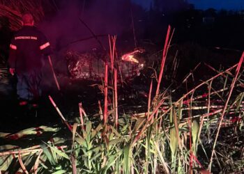 Φωτιά στα Λουσικά – Παπαδόπουλος: “Πόσο γρήγορα μπορεί να συμβεί το κακό” – ΦΩΤΟ